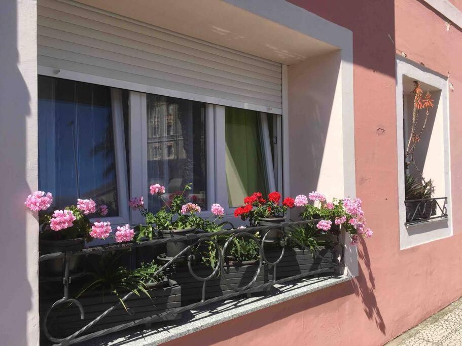 Davila Park'S Apartment Wifi Сантандер Экстерьер фото